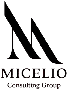 micelioconsulting.com